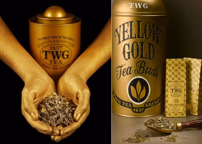 Trà búp vàng (Yellow Gold Tea Buds) là loại trà rất hiếm. Nó chỉ được thu hoạch ở một nơi cụ thể và cũng chỉ là một ngày trong năm. Nơi duy nhất bạn có thể tìm thấy loại trà này là ở Singapore. Ảnh: Internet.