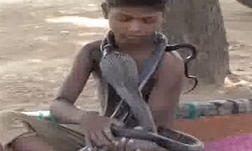 Cau be 7 tuoi an ngu, tam cho ho mang chua kich doc