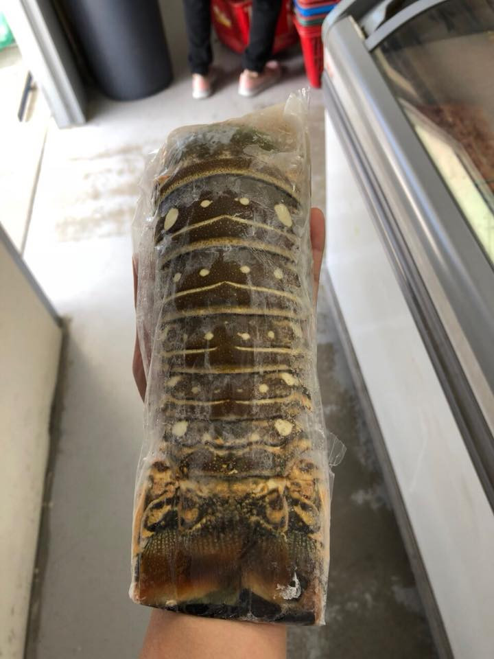 Tại các cửa hàng hải sản nhập khẩu, đuôi tôm hùm Úc có giá bán từ 1,6 - 2,2 triệu đồng/kg. Ảnh: FB Sữa tươi Úc.