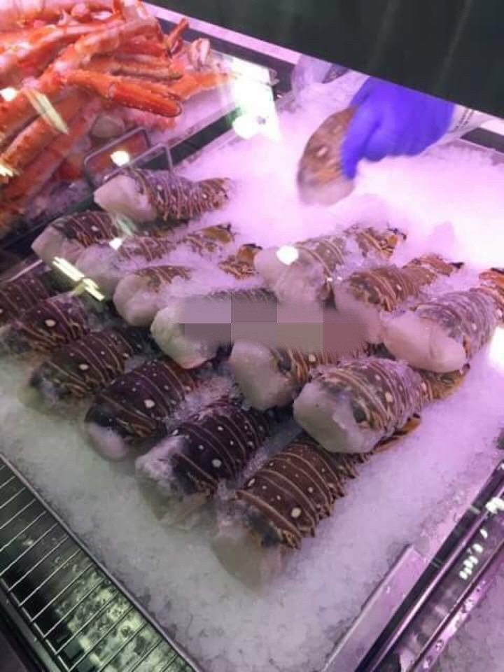 Tôm hùm Úc được ưa chuộng bởi thịt chắc, ngọt và giàu dinh dưỡng. Ảnh: Thu Ballet.