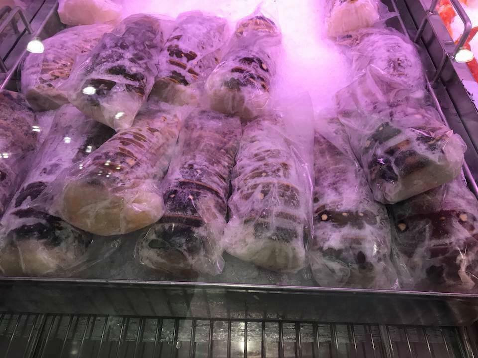 Tôm hùm Úc nguyên con có giá rẻ hơn, từ 550.000 - 700.000 đồng/kg. Ảnh: Thu Ballet.