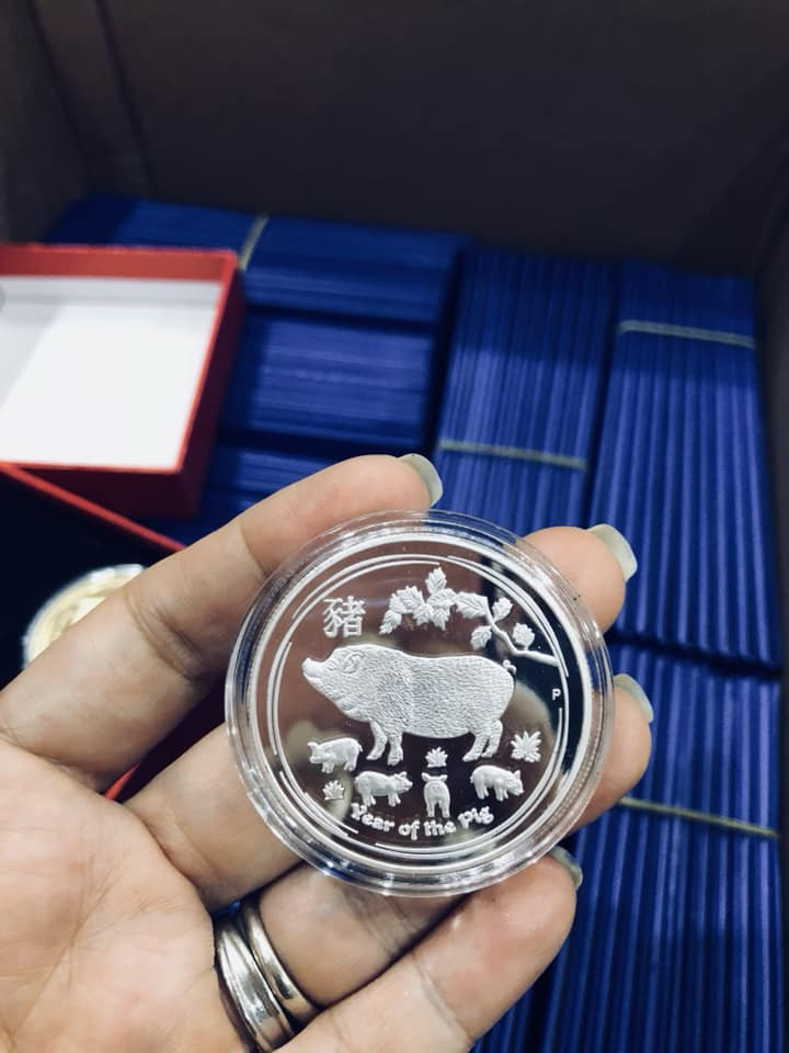 Ngoài tiền xu hình heo mạ vàng, còn có tiền xu mạ bạc. Ảnh: FB Ngoc Ha Le.