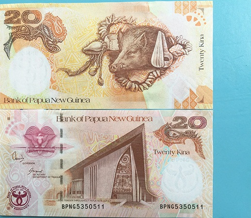 Mặt trước là hình ảnh tòa nhà cũng hội tại thủ đô Port Moresby cùng hình ảnh loại chim thiên đường đặc trưng của đất nước này. Mặt sau tờ tiền hình 20 Kina là hình ảnh chú heo rừng. Ảnh: Thegioitien.