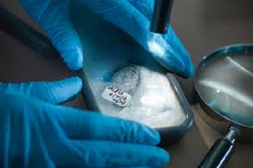 Nhân viên pháp y với nhiệm vụ điều tra nguyên nhân tử vong, thương tật trong các vụ án hình sự được xếp vào nhóm công việc ghê rợn. Ảnh: Huffpost.