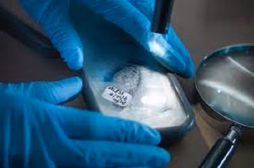 Nhân viên pháp y với nhiệm vụ điều tra nguyên nhân tử vong, thương tật trong các vụ án hình sự được xếp vào nhóm công việc ghê rợn. Ảnh: Huffpost.