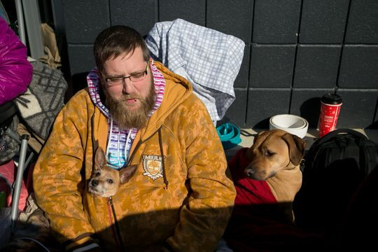 Không chỉ mang ghế gập, lều trại, chăn, đồ ăn... cặp đôi còn đưa theo cún cưng đi cùng. Ảnh: Delaware Online.