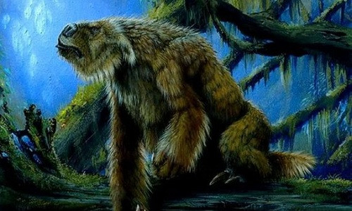 Nhung bi an ve rung ram Amazone den nay van chua duoc giai dap