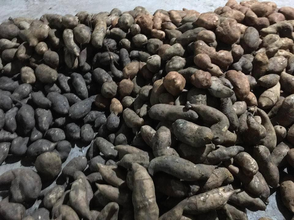 Người ít mua 2-3kg, người nhiều mua đến vài chục kg để ăn dần. Ảnh: FB Xuyên Lê.