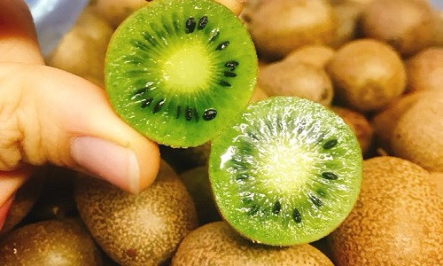 Bên ngoài, kiwi có hình dáng y hệt như trái kiwi bình thường nhưng kích thước nhỏ tí xíu. Ảnh: FB Nguyễn Thị Hồng Nhung.