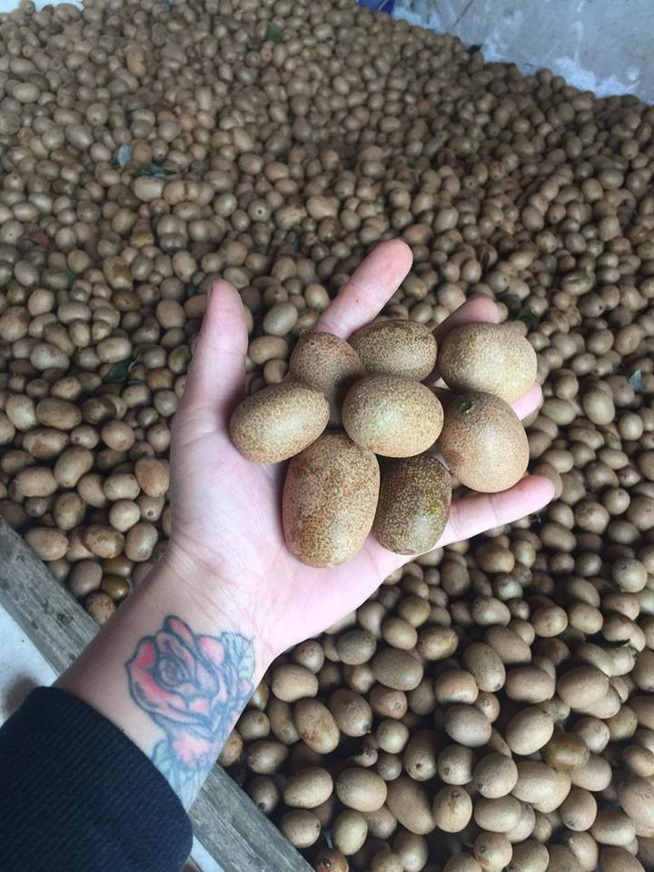 Theo người bán, đây là giống kiwi được trồng ở Tây Bắc. Ảnh: FB Nguyen Hang.
