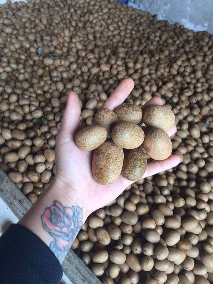 Theo người bán, đây là giống kiwi được trồng ở Tây Bắc. Ảnh: FB Nguyen Hang.