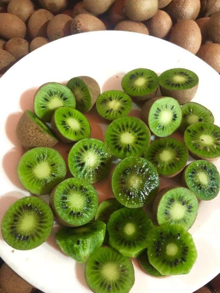 Khi bổ ra, ruột kiwi rừng có màu xanh, nhiều hạt đen nhỏ li ti không khác trái kiwi to. Ảnh: FB Phan Thu Uyên.