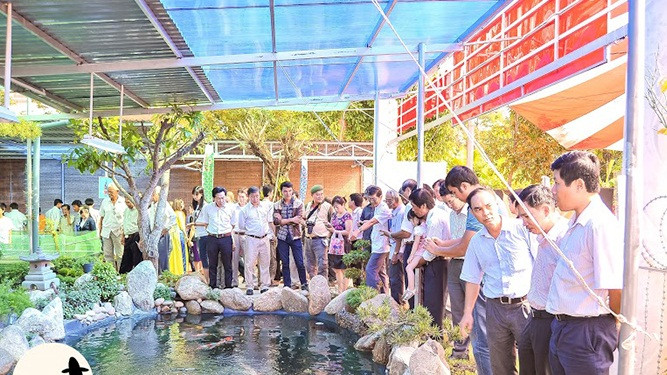 Trang trại cá Koi của anh Trung rộng hơn 6 ha, bao gồm nhiều ao nuôi.