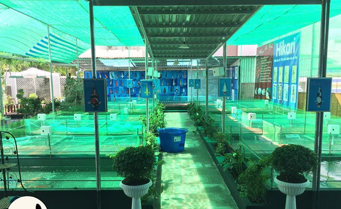 Trong đó, có hệ thống ao và khu hồ riêng để thuần dưỡng cá.