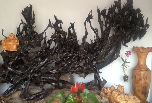 Một vật trang trí khác trong phòng có hình dáng tự nhiên, kích thước lớn. Ảnh: Giadinhvietnam.