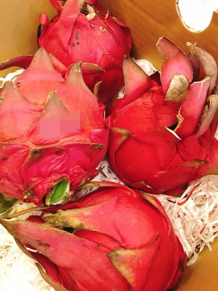 Quả thanh long đỏ Đài Loan kích thước lớn, có quả nặng tới hơn 1kg. Ảnh: AT Mart.