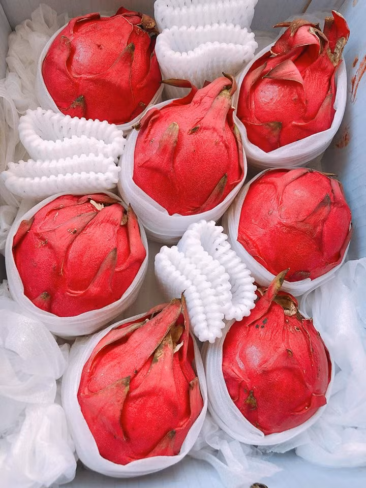 So với giá thanh long trong nước (35.000 - 60.000 đồng/kg) thì thanh long Đài Loan có giá cao gấp 6-7 lần. Ảnh: FB Huyền Hoàng.