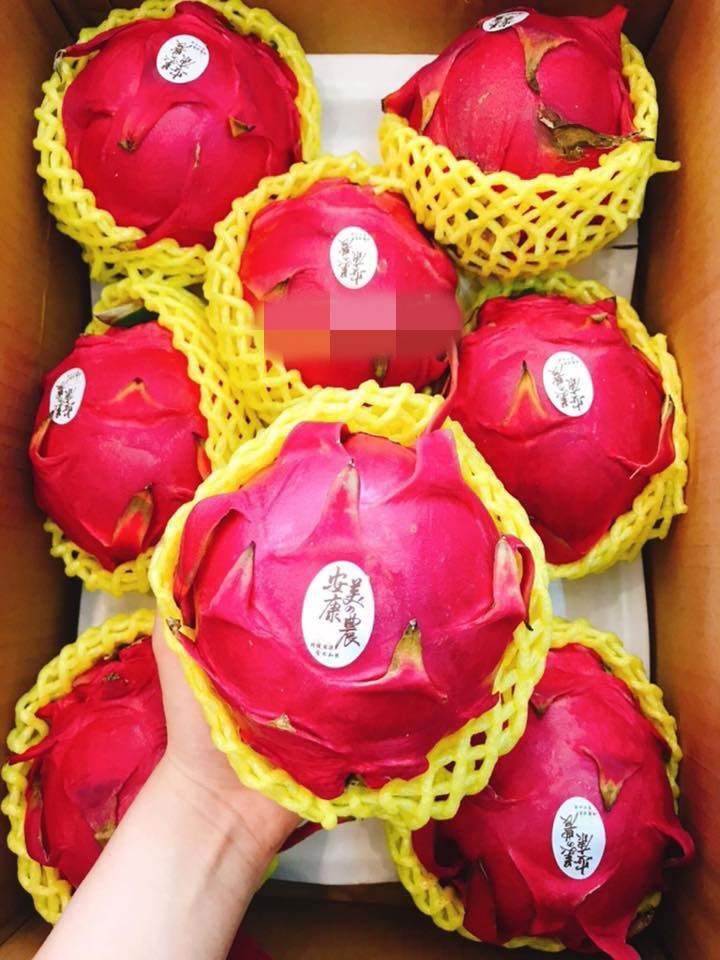 Ngoài ra, thanh long Đài Loan khá tròn và mọng nước. Ảnh: AT Mart.