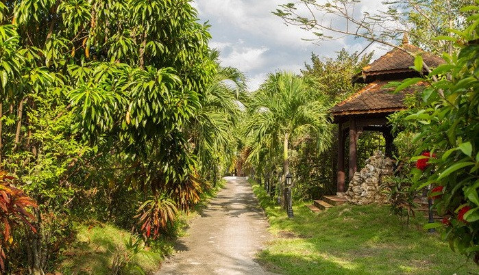 Bao quanh nhà là cây xanh ngợp mắt. Ảnh: Vietnamnet.