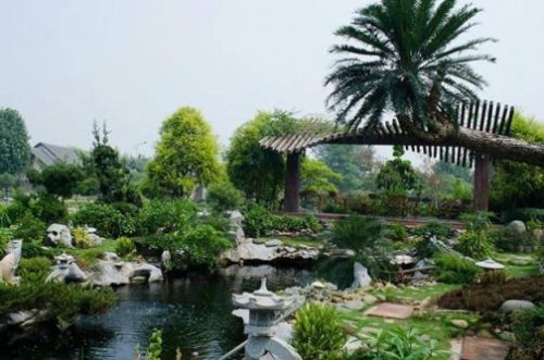 Trong vườn nhà còn có cả ao cá với những hòn non bộ rất đẹp mắt đặt xung quanh. Ảnh: Nguoiduatin.