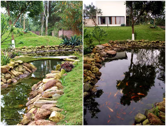 Hồ cá chép mang vẻ đẹp tự nhiên. Ảnh: Vietnamnet.