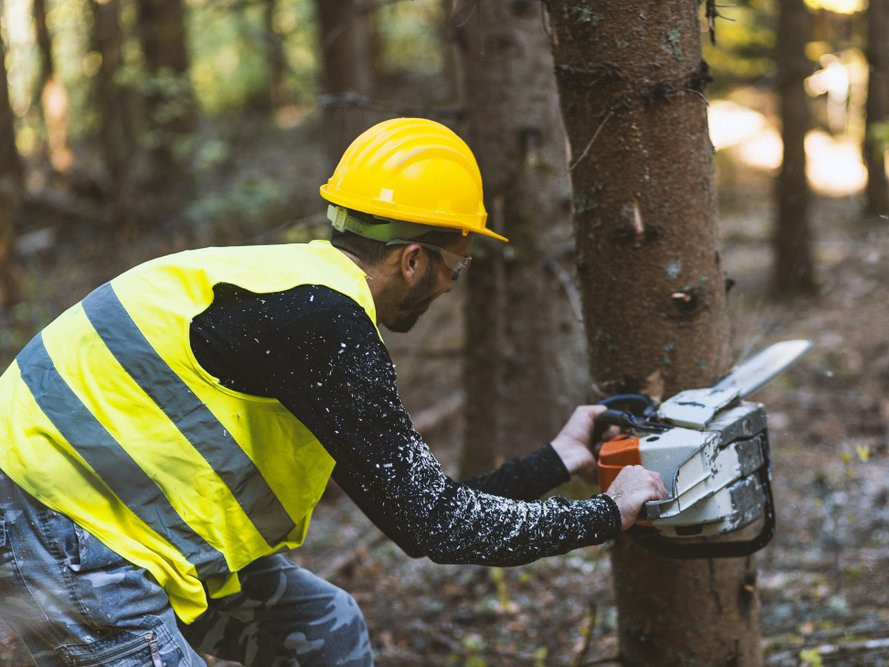 9. Thợ đốn gỗ Khi xã hội ngày càng ý thức hơn về biến đổi khí hậu và có nhiều động thái nhằm xây dựng một hành tinh bền vững và xanh hơn, những người làm nghề đốn gỗ có nguy cơ mất việc với tăng trưởng dự báo giảm 13% trong thập kỷ tới. Không chỉ các sản phẩm giấy sẽ ngày càng được “số hóa” rộng rãi, thế giới còn bắt đầu ưu tiên sử dụng những sản phẩm thay thế thân thiện hơn với môi trường.