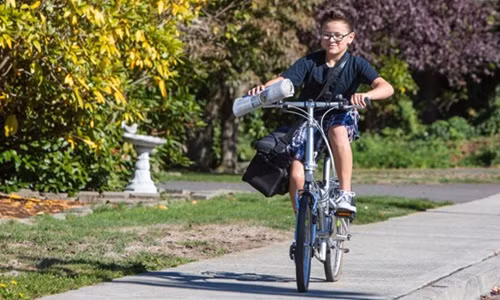 4. Người đưa thư, giao báo Vào những năm 1970-1980, nhiều trẻ em vùng ngoại ô làm công việc giao báo hàng ngày. Công việc này sau đó trở thành nghề chuyên nghiệp trước khi kỷ nguyên số bùng nổ. Ngày nay, ngày càng nhiều người đọc tin tức trên Internet. Đó cũng là lý do công việc giao báo có triển vọng tăng trưởng bằng 0 theo báo cáo việc làm của Career Cast năm 2014. Bên cạnh đó, sự ra đời của ngân hàng trực tuyến, cùng nhiều hình thức điện tử tương tự, người giao thư mỗi ngày cũng không còn cần thiết.