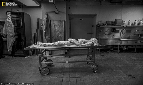 Tinh nguyen dong lanh co the, cat lam 27.000 lat phuc vu khoa hoc