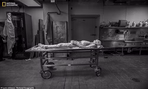 Tinh nguyen dong lanh co the, cat lam 27.000 lat phuc vu khoa hoc