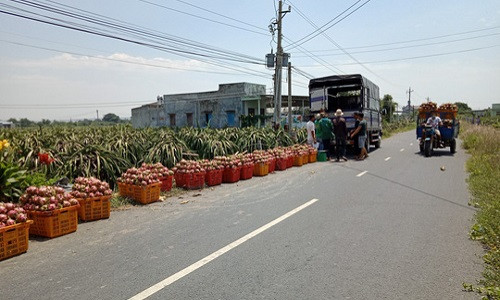 Lai keu goi “giai cuu thanh long“