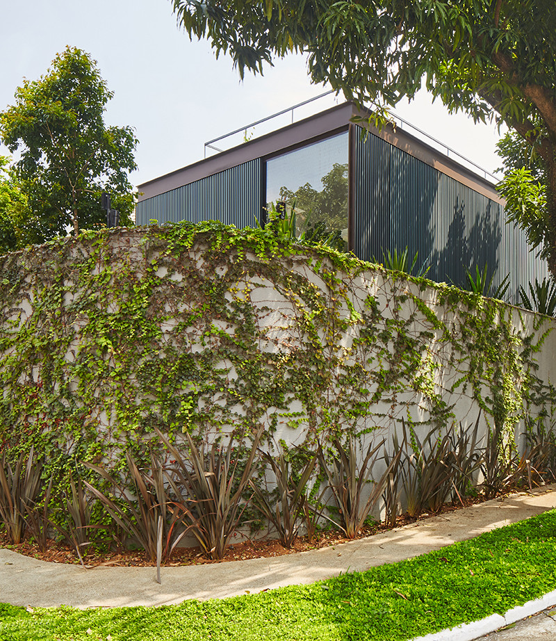 Nhà vườn được bao bọc bởi bức tường bê tông có cây leo phủ kín cùng cánh cổng sắt kỳ bí.