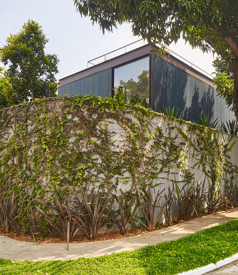 Nhà vườn được bao bọc bởi bức tường bê tông có cây leo phủ kín cùng cánh cổng sắt kỳ bí.