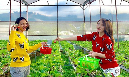 Giua tin don yeu dong gioi, Hoa hau Ky Duyen than van ve cuoc song