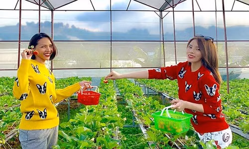 Giua tin don yeu dong gioi, Hoa hau Ky Duyen than van ve cuoc song