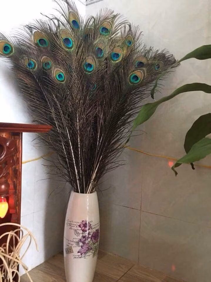 Lông công được cắm trong bình, trang trí trong phòng khách hoặc phòng làm việc. Ảnh: FB Lông công phong thủy.