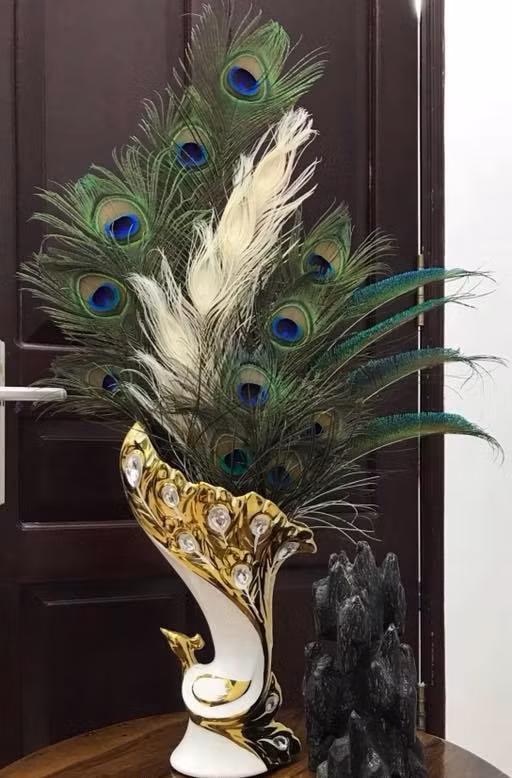 Với phòng khách rộng, mỗi bình lông công thường cắm từ 30 - 55 cọng. Ảnh: Lông công Ấn Độ.