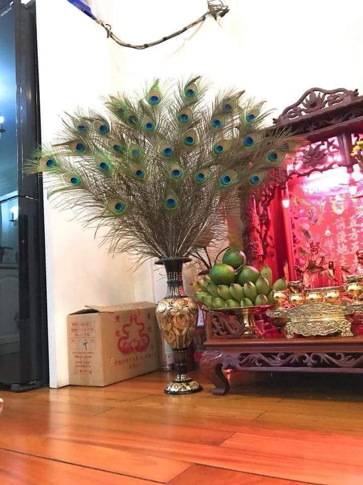 Bình lông công có thể đặt cạnh bàn thờ Thần Tài hay ở cửa chính với ý nghĩa thu hút tài lộc. Ảnh: FB Lông công phong thủy.