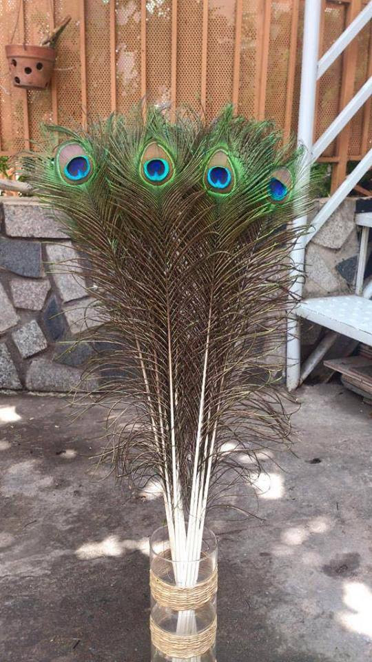 Theo một Facebook bán hàng "Lông công Ấn Độ" thì đây là loại lông công tự nhiên, được xách tay từ Ấn Độ về. Ảnh: FB Lông Công Ấn Độ.