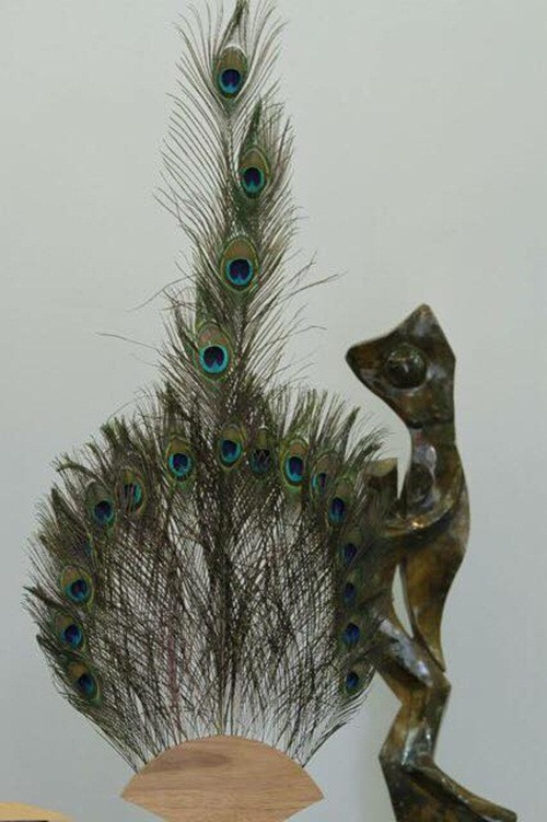 Chị Hà (Thanh Trì, Hà Nội) cho biết, vì khá mới lạ nên chị cũng mua lông công về cắm trang trí trong nhà, vừa đẹp mắt vừa hy vọng vào ý nghĩa phong thủy cầu may. Ảnh: Lông công phong thủy.