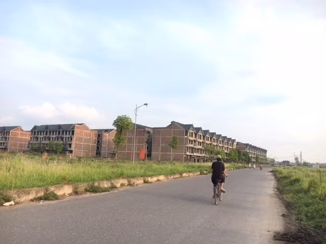 Rất nhiều bãi đất trống bạt ngàn cỏ dại mọc um tùm, hoang vu. Ảnh: Vietnamnet.