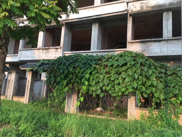 Nhiều biệt thự bị cỏ phủ kín. Ảnh: Vietnamnet.