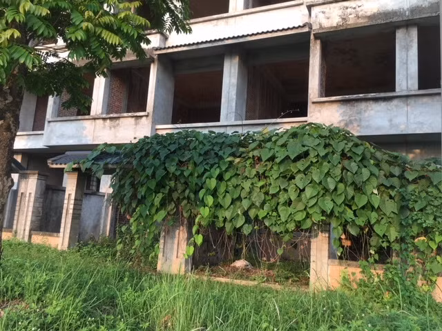 Nhiều biệt thự bị cỏ phủ kín. Ảnh: Vietnamnet.