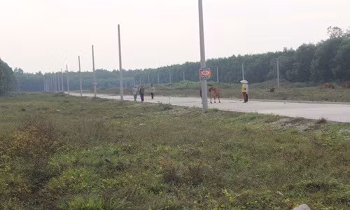 Du an “ma” nao gay chan dong thi truong BDS 2018?