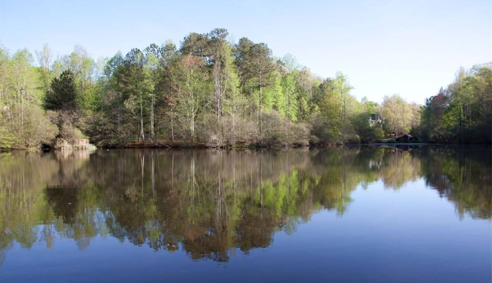 Từ biệt thự có thể nhìn ra hồ nước xanh mát.