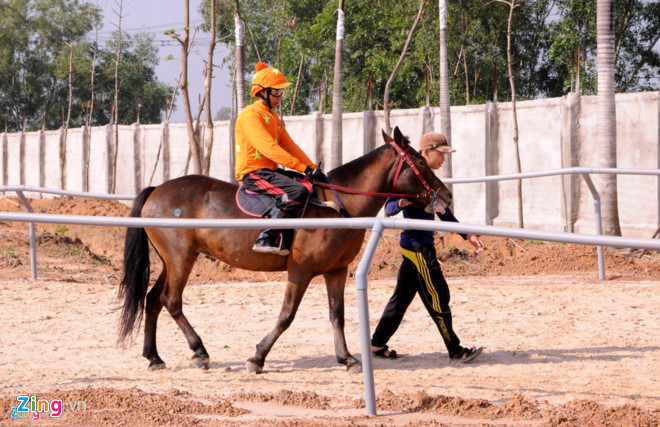Ha Noi muon xay truong dua ngua 10.000 ty nhu the nao?-Hinh-3