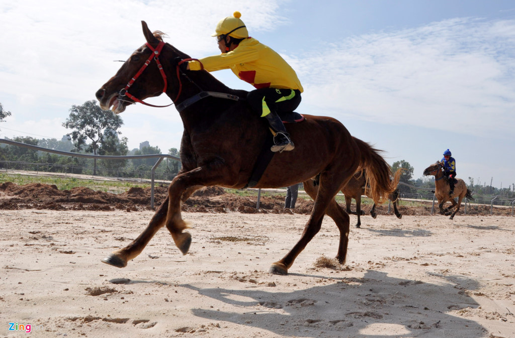 Ha Noi muon xay truong dua ngua 10.000 ty nhu the nao?-Hinh-2