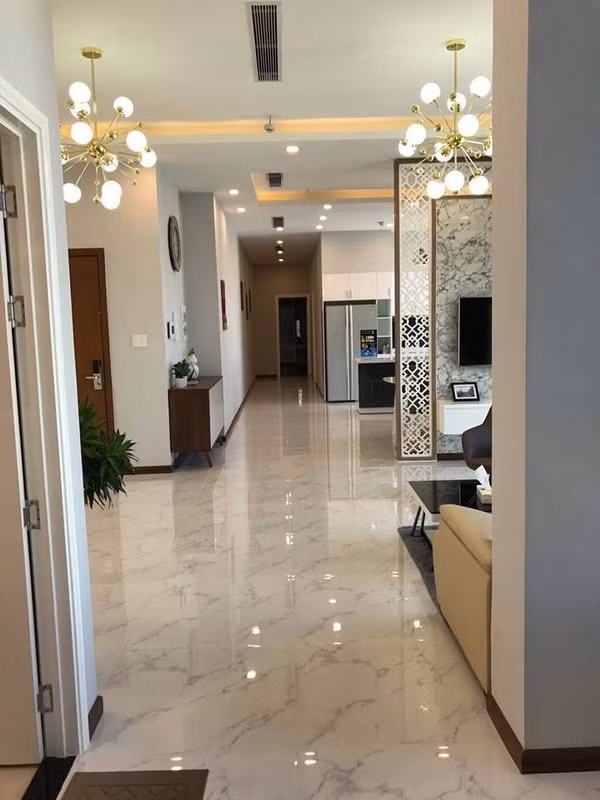 Bước ra từ cuộc thi này, Thái Mỹ Linh khá kín tiếng với các hoạt động nghệ thuật. Cô hoạt động như một người mẫu ở TP.HCM.