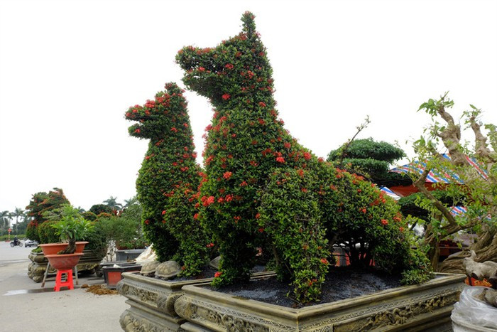 Cặp cảnh hình chó được tạo hình từ cây mẫu đơn hoa đỏ gây sốt thị trường Tết Mậu Tuất 2018. Ảnh: Phapluatnet.