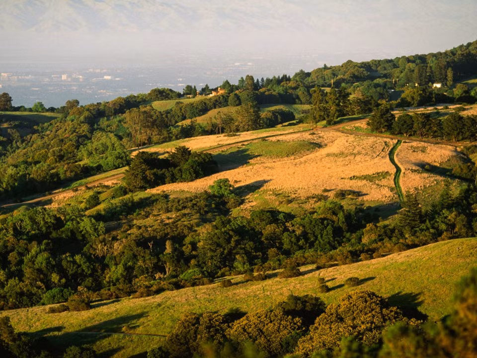 3,3 triệu USD là giá nhà đất bình quân năm nay của San Mateo (thành phố Portola Valley, California).