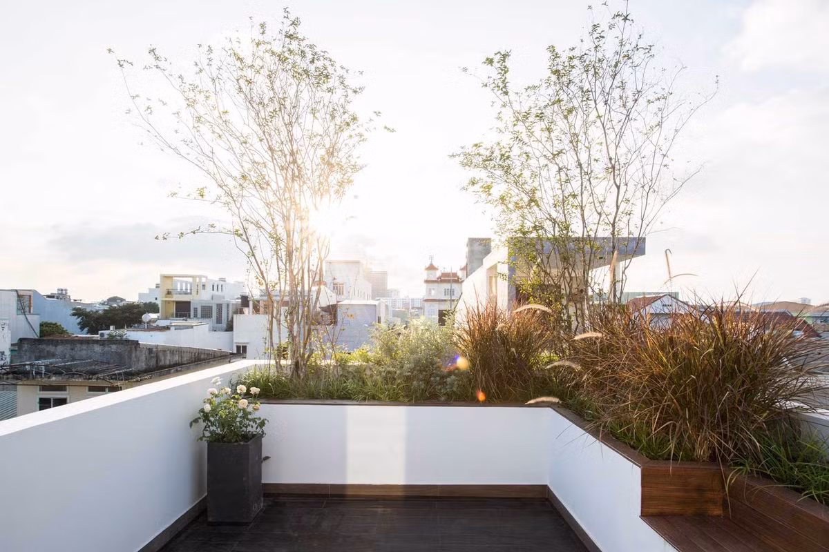 Ngoài ra, còn có một không gian xanh và sân chơi cho cả gia đình ở sân thượng.